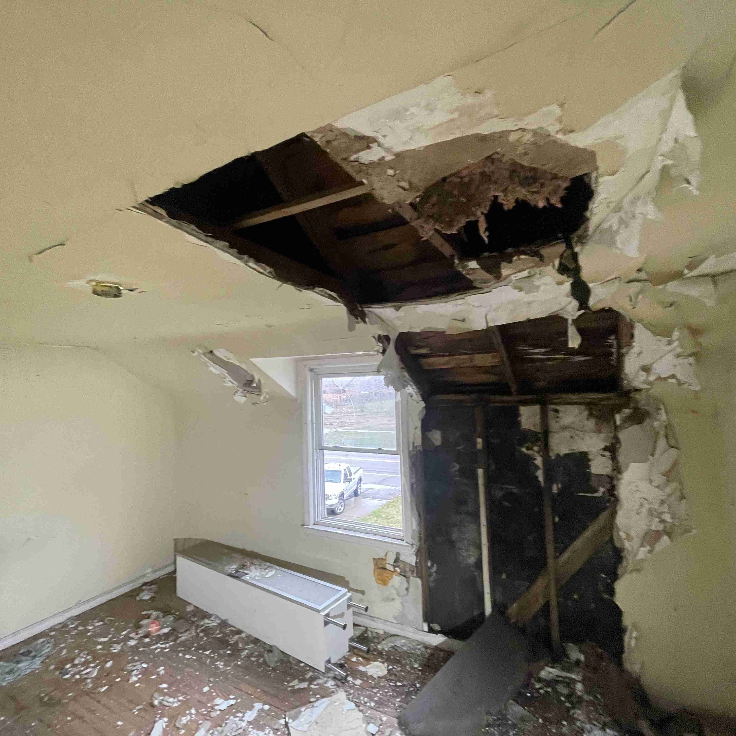 20015 Schoenherr (44).jpg